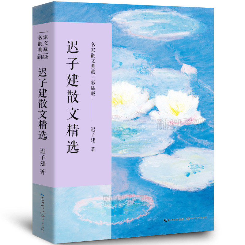 迟子建散文精选名家散文典藏散文集作品小说初高考生课外阅读书籍龙眼与伞/落红萧萧为哪般青少年课外阅读散文精选长江文艺出版社
