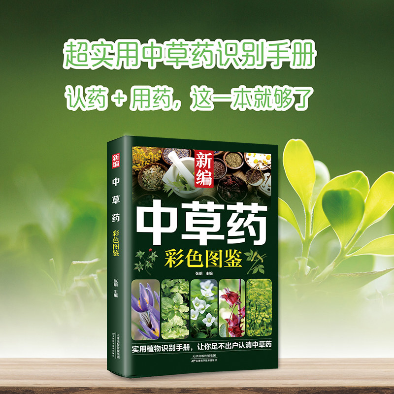 新编中草药彩色图鉴 实用植物识别手册 中草药图谱与功效详解 中医入门与养生书籍