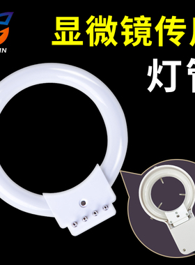 高品显微镜环形光源荧光灯管 圆形4脚4针四脚四针 放大镜灯管光源 D/100/200/300/400/500/600 8W  HX LAMP