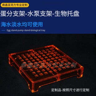 海水蛋分托架抬高架鱼缸水泵垫高提升架底滤缸滤材透水支撑架垫板