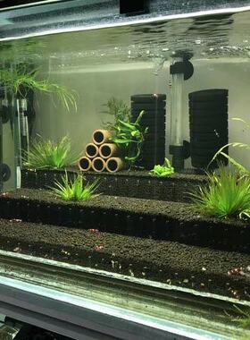 草缸梯田造景水晶虾鱼