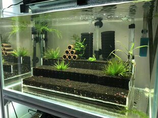 草缸梯田造景水晶虾鱼水草造景水草泥盒子观赏造景缸草缸虾缸造景