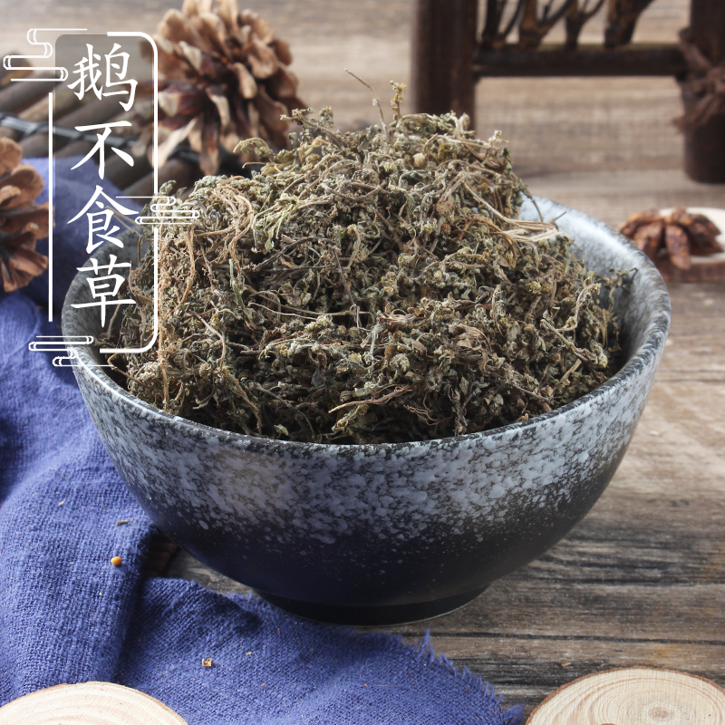野生鹅不食草500克 食胡荽 鹅不食 中药材供应 天胡荽 2件包邮