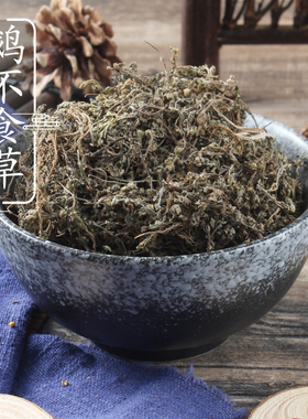 野生鹅不食草500克 食胡荽 鹅不食 中药材供应 天胡荽 2件包邮