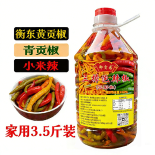 三色椒衡东黄贡椒浸辣椒整只酒泡辣椒湖南剁椒鱼头三彩椒