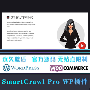 檢查分析優化爬蟲SEO插件 漢化中文版 WP插件 Pro SmartCrawl