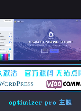 Optimizer PRO WP主题 Wordpress 多功能响应式自定义网站模板
