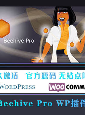 Beehive Pro 中文版 Google Analytics谷歌分析自定义设置 WP插件