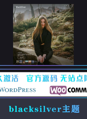 Blacksilver WP主题 Wordpress 专业摄影照片展示博客网站模板