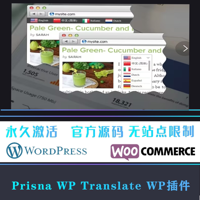 Prisna WP Translate 中文版 多功能制作精美多合一翻译 WP插件