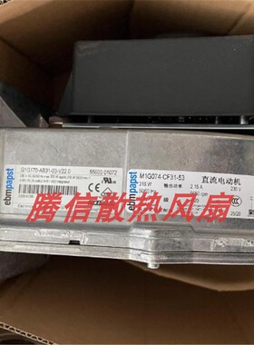 G1G170-AB31-03 德国ebmpapst 燃气锅炉风机 230V 315W 离心风机