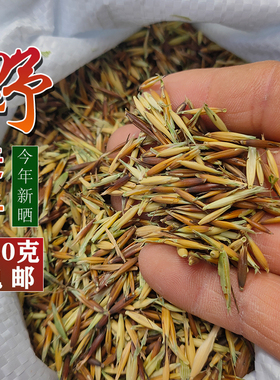 三送一2026年新货带壳野麦子野燕麦非浮小麦野小麦雀麦250克包邮