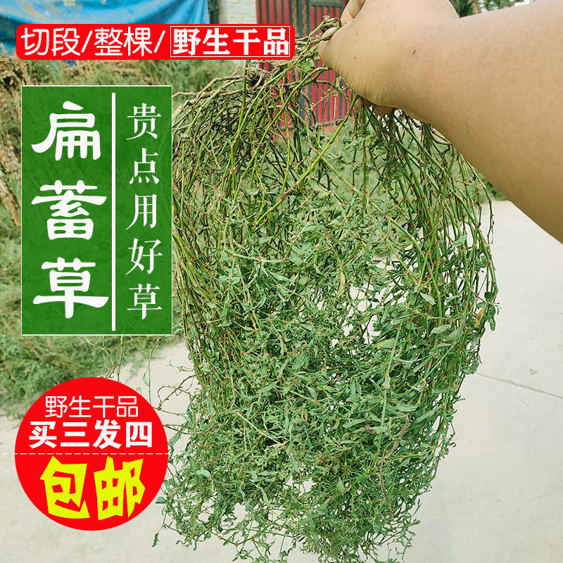 2026年5月新晒野生扁蓄草扁蓄萹竹牛鞭草猪牙草500克包邮买3送1