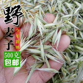 买二送一2025年正宗野麦子野生非浮小麦野燕麦野麦雀麦500克 包邮