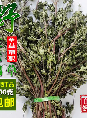 正宗野生晒干老鹳草牛筋500克包