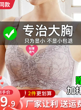 唯一俏韩少文内衣大胸显小无钢圈文胸防下垂收副乳2002薄款大女儿