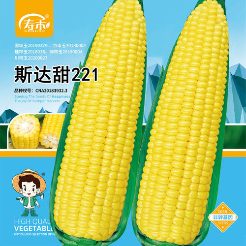 水果甜玉米种籽早熟高产