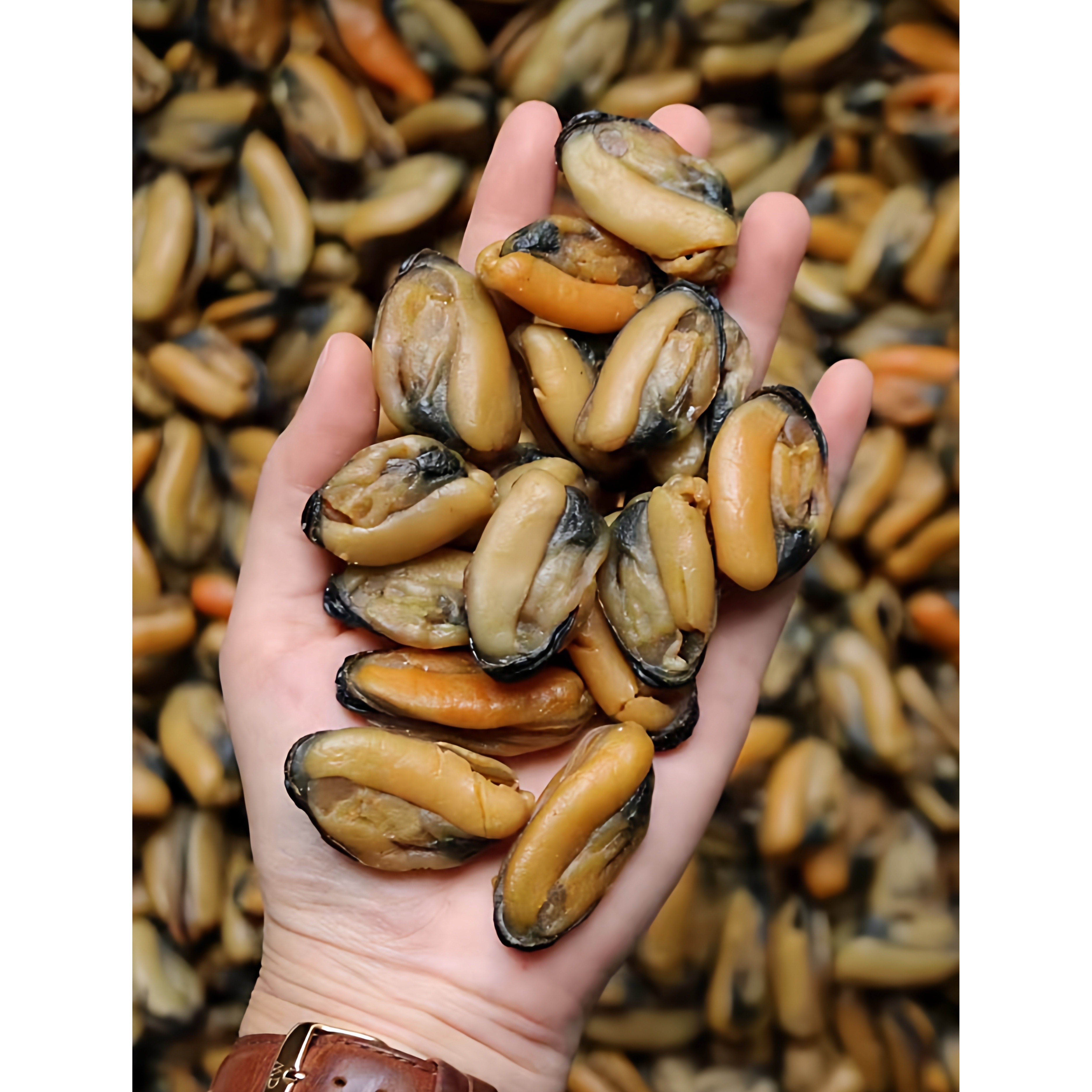 淡菜干湛江特产淡菜干特级无沙干海虹贻贝淡干菜煲汤特大青口贝肉