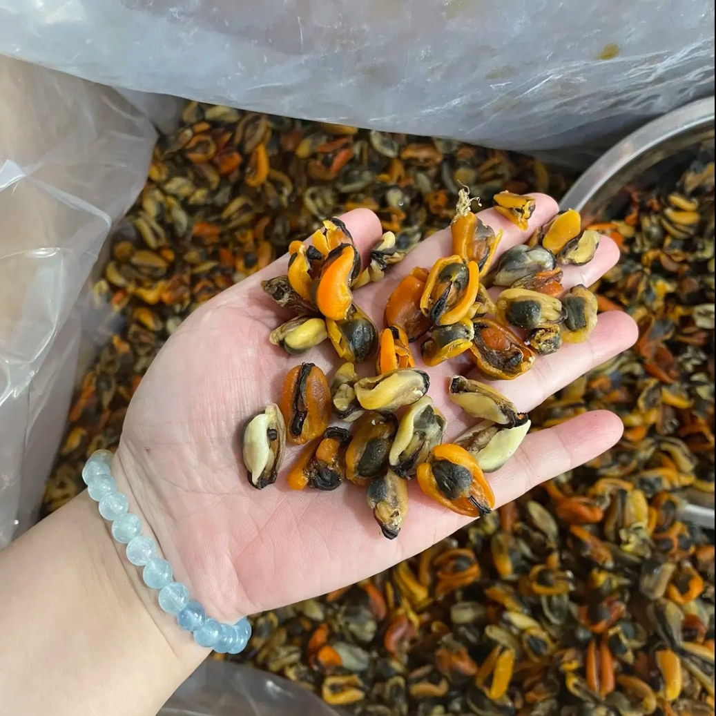 淡菜干海虹干非特级中号淡菜仔海鲜干货商用海产品贻贝青口贝
