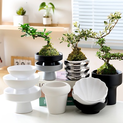 苔藓球花盆文竹无孔果盘陶瓷花盆