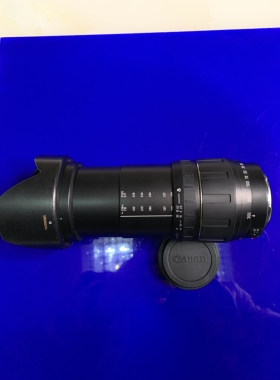 佳能EF腾龙28-300mm/3.5-6.3广角长焦自动镜头一镜走天下微距金圈