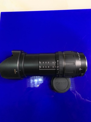 佳能EF腾龙28-300mm/3.5-6.3广角长焦自动镜头一镜走天下微距金圈