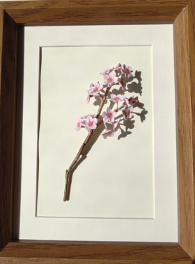拈花记手作*微钩樱花胸针森系饰品