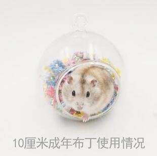 仓鼠金丝熊蜜袋鼯用品 玻璃窝屋透明球型小吊床 可挂47/60/80基笼