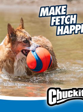 美国petmate中大型犬玩具！Chuckit户外足球可浮水