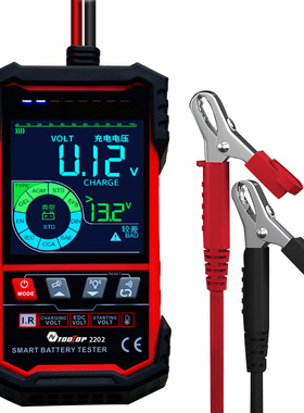 TOOLTOP 2202 汽车蓄电池检测仪 电动车12v24v电瓶寿命容量测试仪