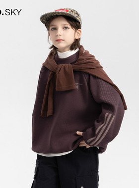 anothersky 男童秋冬装半高领加厚运动卫衣2025新款儿童加绒上衣