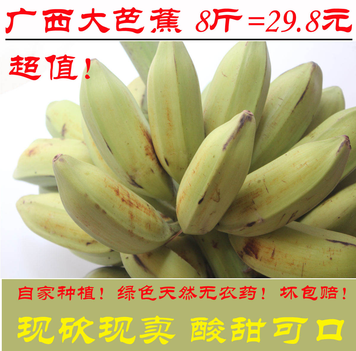 包邮芭蕉banana 酸甜广西新鲜水果青香蕉 芭蕉大蕉大牛蕉 8斤装