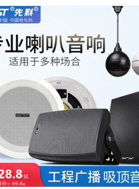 SAST/先科 Y5/Y6/Y7/TH-8/D55/D56吸顶吊球挂壁音柱同轴音响喇叭
