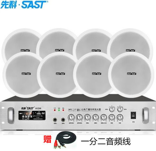 先科定压定阻蓝牙功放大功率
