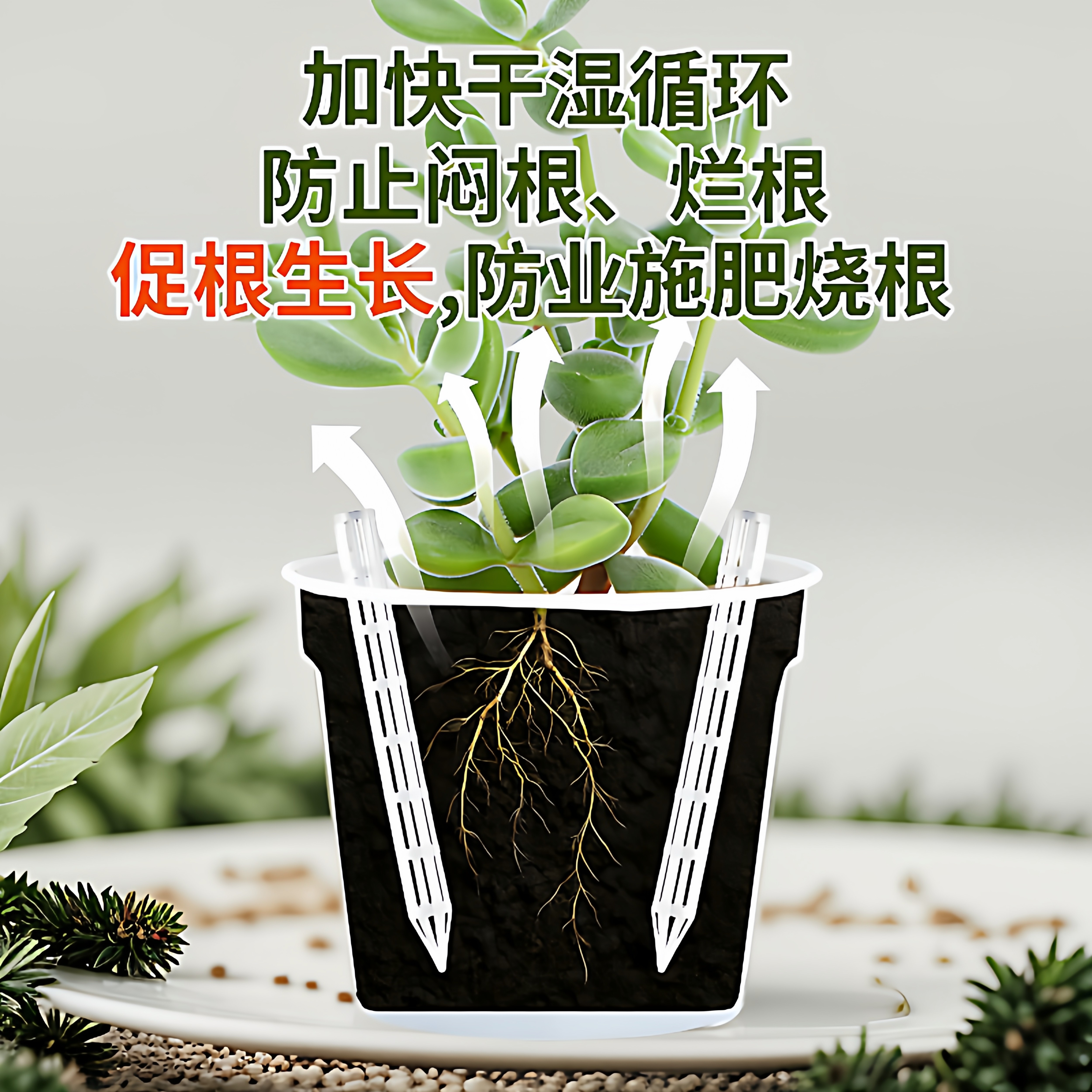 盆土通风管透气管透气管通风管盆土透气花盆底部加长土花卉施肥管,鲜花速递/花卉仿真/绿植园艺,育苗盘/营养钵,淘宝优惠券,粉丝福利购,淘宝优惠卷