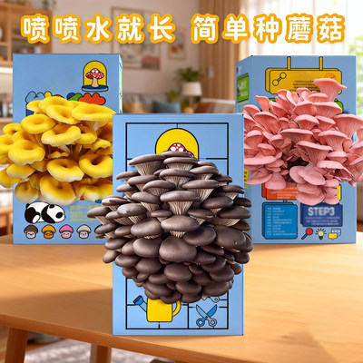 蘑菇盒子蘑菇种植包蘑菇菌包礼盒盒装平菇菌包室内家庭学校种植