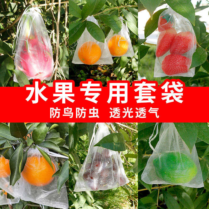 水果防蛀防鸟套袋桃苹果番石榴