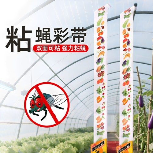 苍蝇贴粘蝇纸强力粘灭蝇彩带神器家用板捕捉自带诱饵诱杀粘蝇板条
