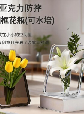 亚克力相框花瓶透明摆件客厅插花高级感水养插花水培绿植2026新款