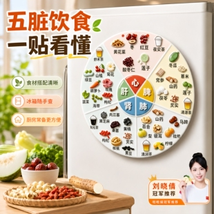 亚克力磁吸养生冰箱贴五脏六腑食疗图谱家庭生活健康科普装饰贴