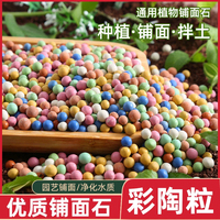 盆栽鋪面石魚缸造景多肉營(yíng)養(yǎng)土