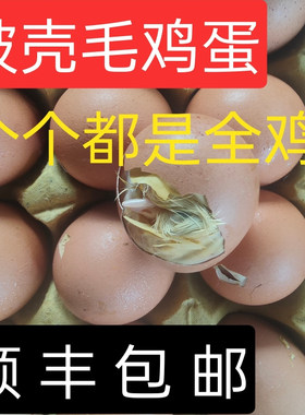 新鲜21天毛鸡蛋微啄壳全鸡毛蛋全喜蛋百分百发育完整介意碎壳慎拍