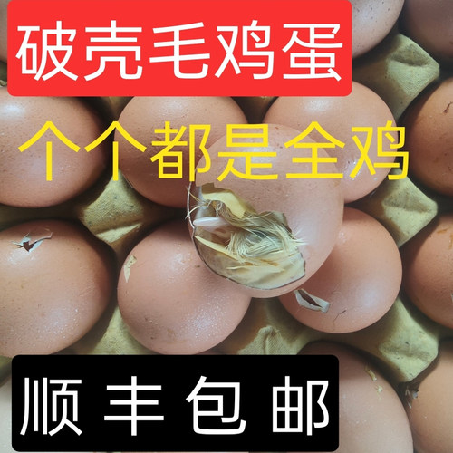 新鲜21天毛鸡蛋微啄壳全鸡毛蛋全喜蛋百分百发育完整介意碎壳慎拍