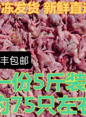 天然猫粮生骨肉新鲜冰冻小鸡仔崽日食鸡 食肉动物饲料湿粮5斤发货