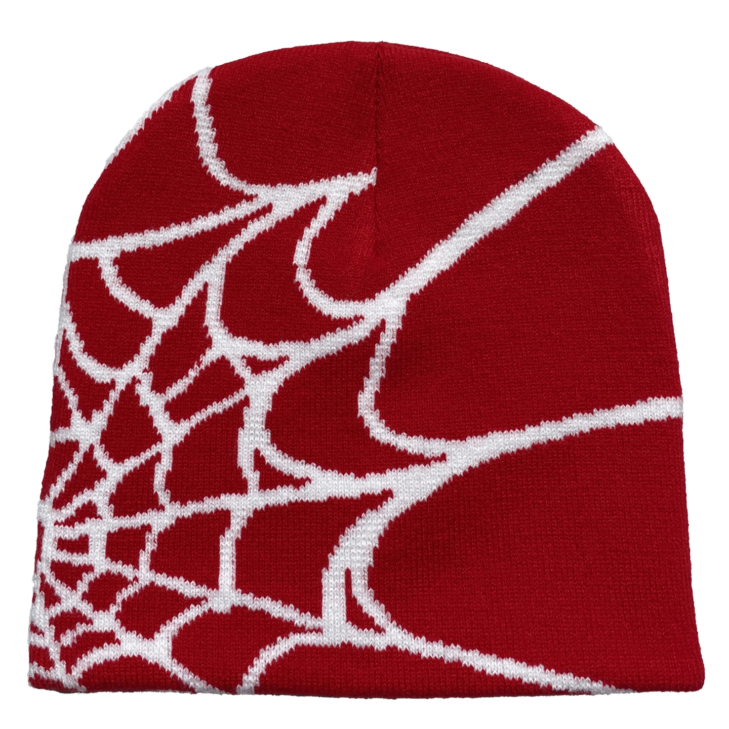 Unisex Spider Web Printed Knit Hat, Warm Outdoor Pullover H