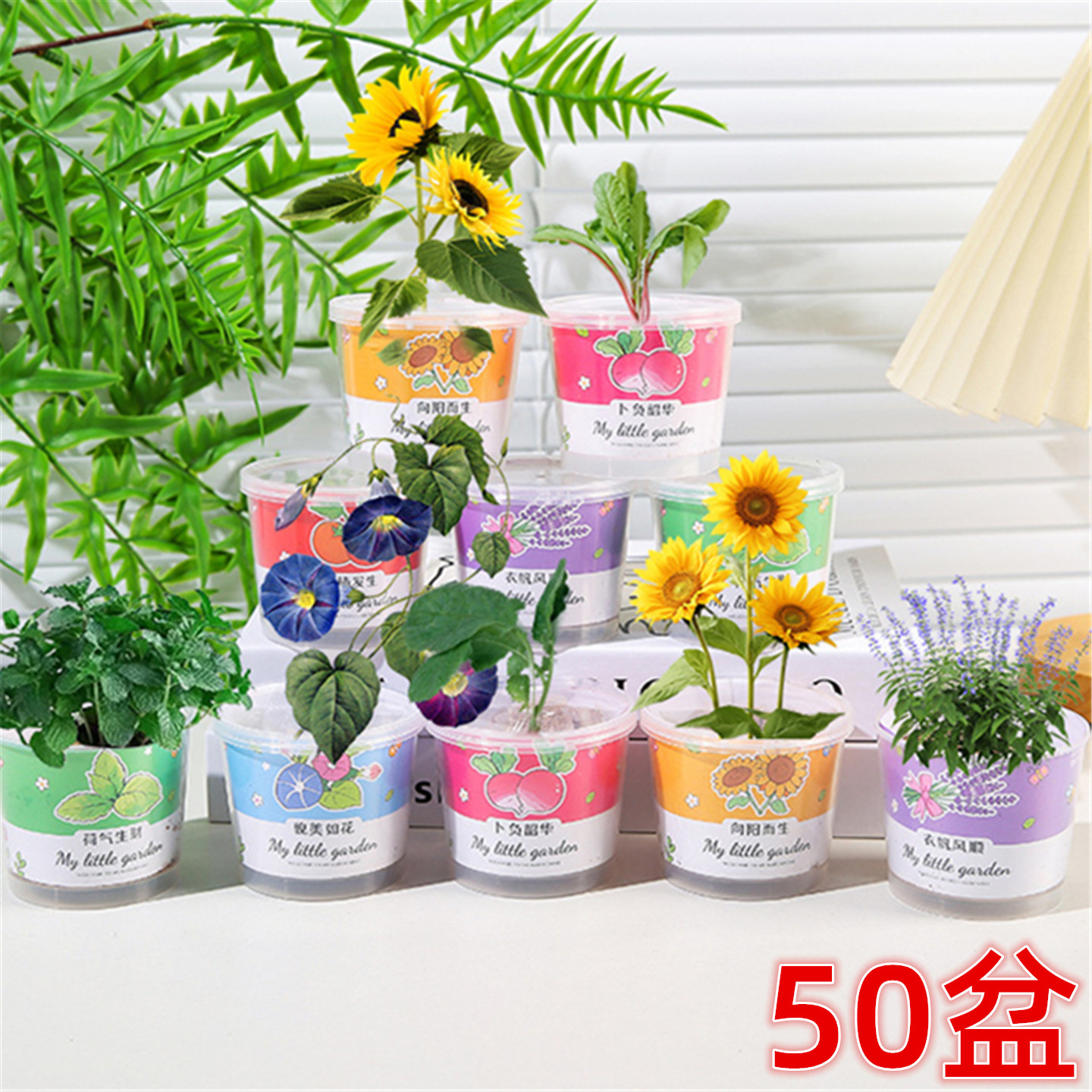 幼儿园活动小礼物创意桌面迷你种植小盆栽小学生奖励奖品儿童礼品