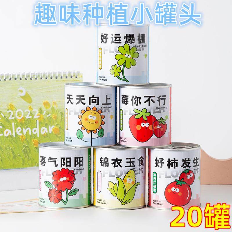 桌面罐头植物儿童节礼物伴手礼