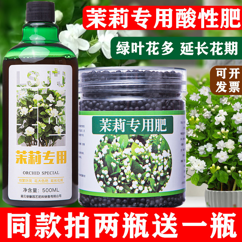 茉莉花专用营养液生根发芽叶面肥黄叶变绿叶室内开花催花王酸性肥