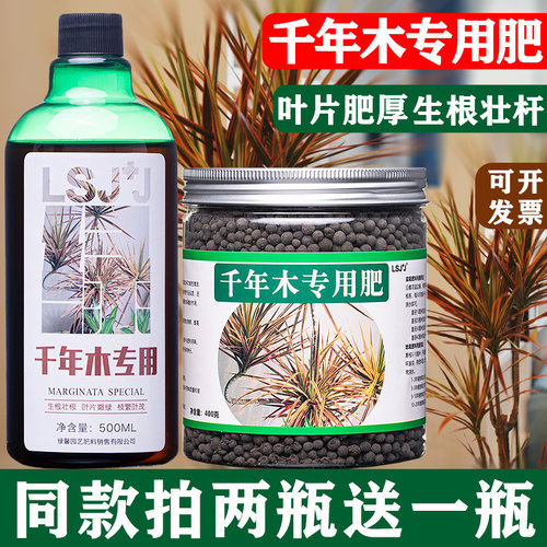千年木家用营养液有机肥