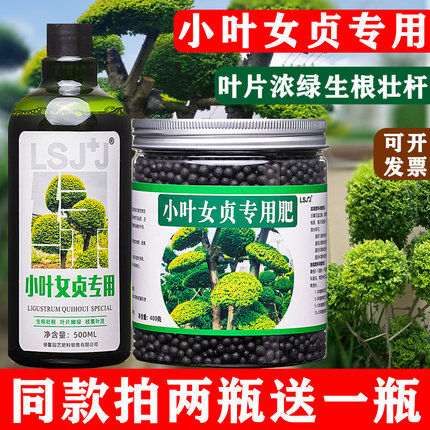 小叶女贞专用肥小叶水蜡树肥料营养液颗粒肥有机肥肥老桩四季常青
